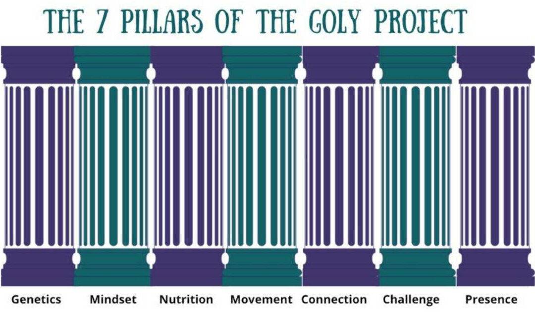 The 7 Critical Pillars of The GOLY Project