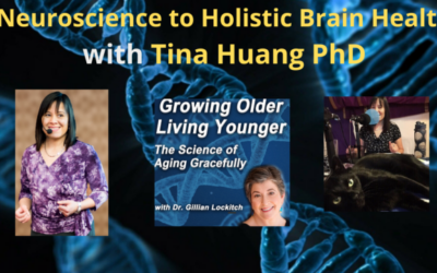 167 Tina Huang PhD: Neuroscience to Holistic Brain Health